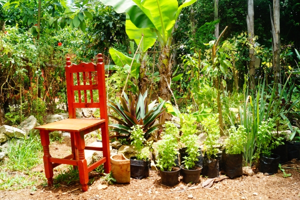 Hotel Don Diego de la Selva (Tulúm, Solidaridad)